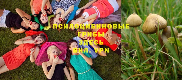 гидропоника Козловка