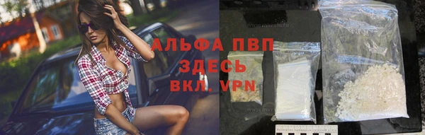 сатива Козельск