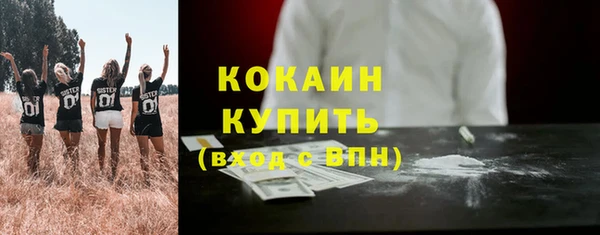 сатива Козельск