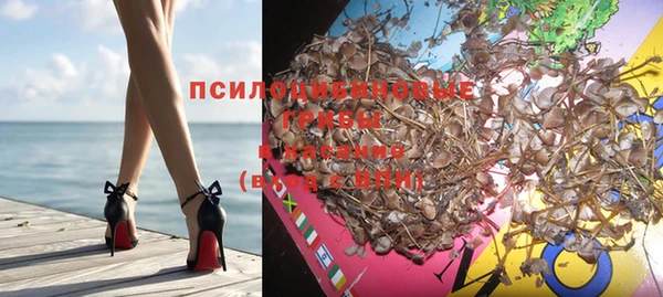 сатива Козельск