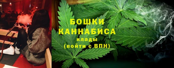 сатива Козельск
