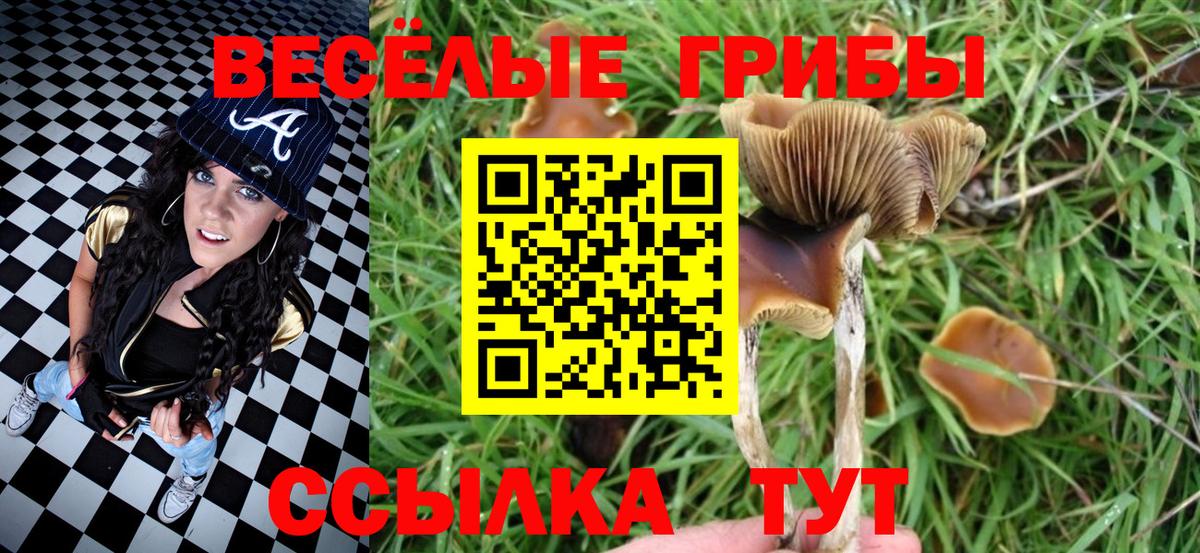 Лосино-Петровский  Псилоцибиновые грибы Cubensis  Вход с VPN 
