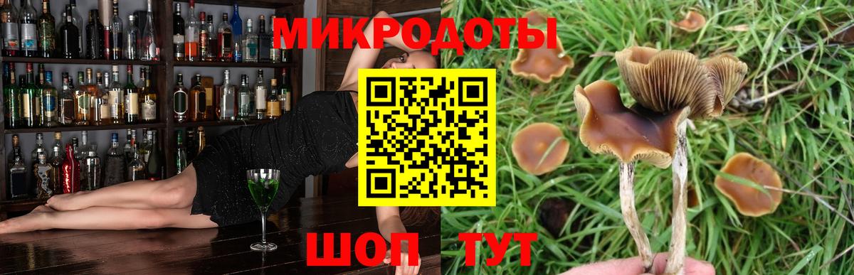 Псилоцибиновые грибы Psilocybe Лосино-Петровский